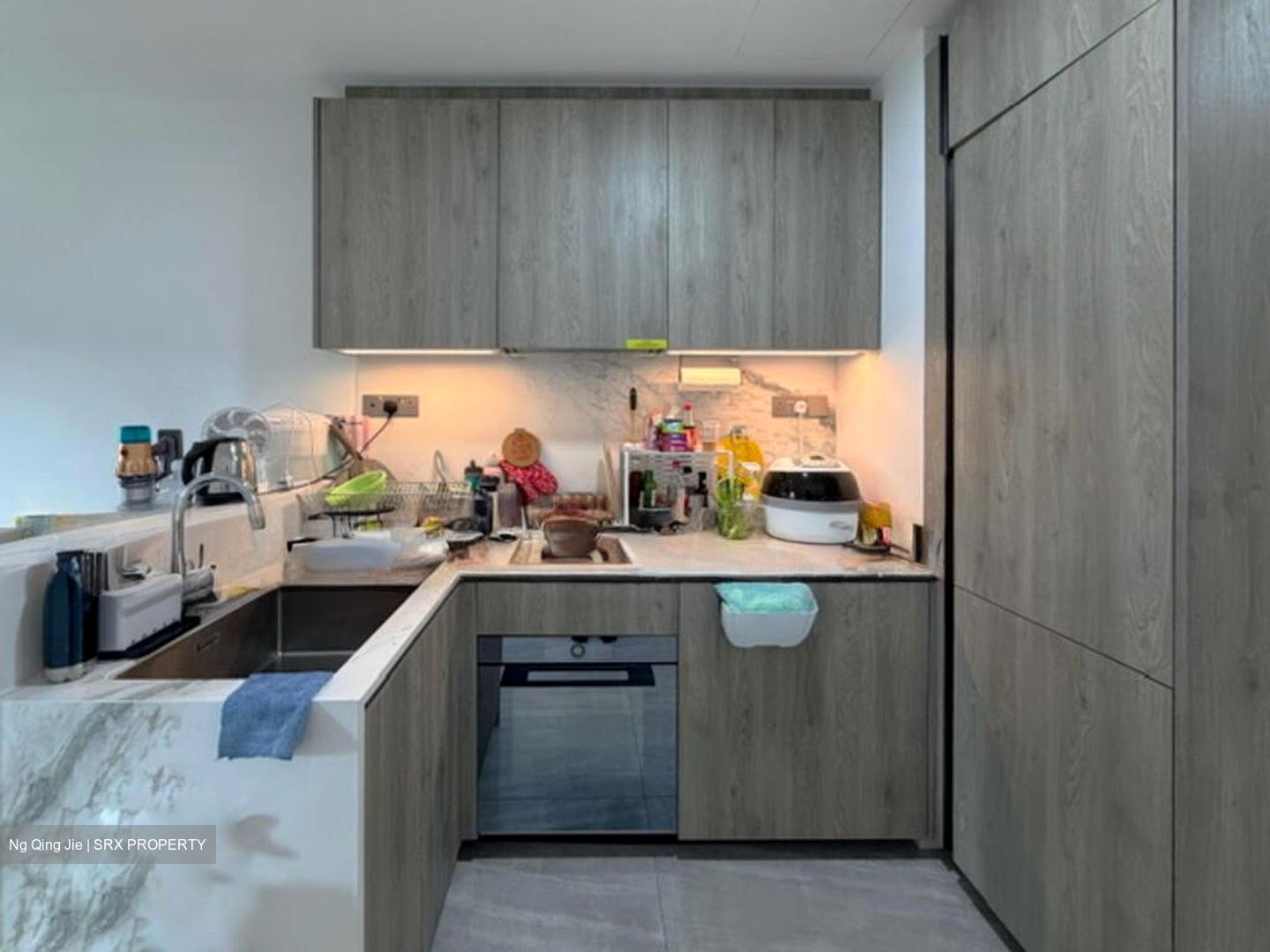 Leedon Green (D10), Condominium #566294081
